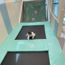 랄라키즈오감카페 | [동탄호수]그랑파샤쥬:랄라키즈 카페+문화센터 후기