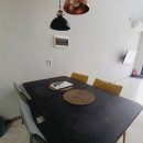 플레이독애견풀빌라 이미지