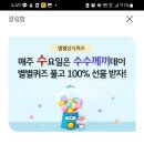 리리스타 네이버블로그