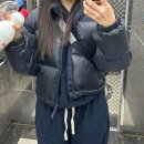 댕댕스쿨 | 뒷북 왕 탕수육의 일기; 2025년 12월의 잔해랄까