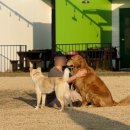 카페험프리즈 이미지