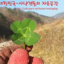 탕집 이미지