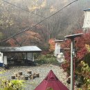 라임휴로즈마리 민박 | 공주시 공주 대형견 가능 애견동반 숙소 TOP 7 후기 많은