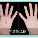 거북이 자동차정비 이미지