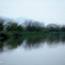 삼락강변공원 이미지