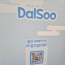 청룡전자 | [삼성전자] 대형 청룡 달수 인형 후기