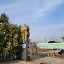 강일 농장 이미지