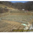 천안시북면위례보건진료소 이미지