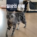 찰리팜하우스 | 부산근교 애견펜견 찰리팜하우스 (울산/언양)