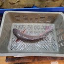 참조은수산 - 동작구 노들로 674 | 참조은수산