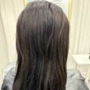 댕댕이 살롱 | 서현역 미용실 살롱고은 헤어 클리닉 후기 보경디자이너님