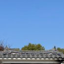 그림바위 | [충북/청주] 문암동 숨겨진 쭈꾸미 맛집 &#39;그림바위&#39;