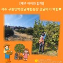 정방연로 이미지