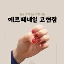 토담엔지니어링 | 경남 거제 에르떼네일 원컬러젤 내돈내산 후기