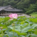 상석 농장 이미지