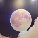 와서불러코인노래연습장 이미지