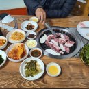 팔등로뒷고기