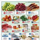 샤인몽스 이미지