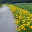 금국농장 이미지