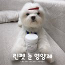 치즈펫 | 치즈 눈 건강을 위한 강아지 눈 영양제, 린펫 룩케어 급여 후기
