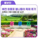 봉하4-2 안길 | 초록이 가장 아름다운 순간을 걷는 봄여행 후기 , 예천 회룡포 봄나들이축제 후기