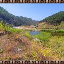 강변쉼터 민박 이미지