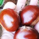 이평농장 이미지