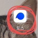 신용등급 올리는법?왜 없어?있어!! 얼른들어와(무료신용등급조회포함) 이미지