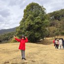 옥룡사지 이미지