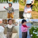 봄여름가을겨울어린이집 | 어린이집 다니는 아기옷 브랜드 추천｜가성비 위주로 정착한 곳들