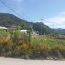 김천시대덕면연화보건진료소 이미지