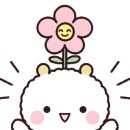 메호르디아 이미지