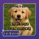 방배2동주민센터 4층 문화교실 | 서울 구로구 반려동물 문화공간 ‘구로 댕냥이네’ 다녀왔어요! | 구로·양천·금천·광명·철산 추천