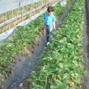 설성농장 이미지