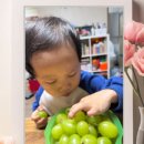 서진농장2 이미지