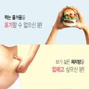와이디컴퍼니(YD company) 이미지