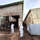 합동축산 이미지