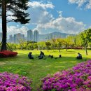 부산시민공원 이미지