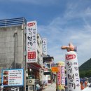 단양맛집 명태조림 흑마늘 황기명태 방문후기
