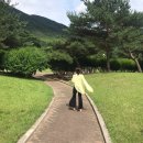 프로월드컵포항웰빙아울렛신 | #daily 2020 7월일상 (1)
