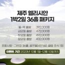 엘리시안CC 티스토리