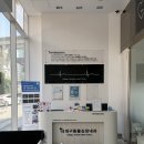 대구동물심장내과 | 대구 동물심장내과 후기 - 강아지 폐수종 심장병 호전