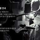 나성동_명동프라자앞BRT 이미지