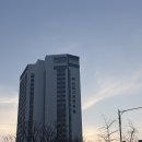 B.B 명동점 | 명동마사지 찐만족 후기 더하노이풋앤바디 시청프레지던트호텔점