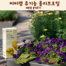 올레뜰 | 하지원듀얼샷 레몬오일 비비랩 올리브오일 레몬즙 올레샷 솔직후기