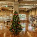 제주커피박물관 바움 이미지