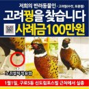 꾸꾸 서울경제