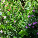 수태골농장 이미지