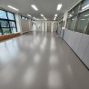 라이온 체육관 이미지