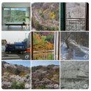 고려대학교사범대학부속중학교 | ⒁ 래미안라센트, 래미안크리시엘, 세레니티, 종암SK, 종암아이파크2차 임장